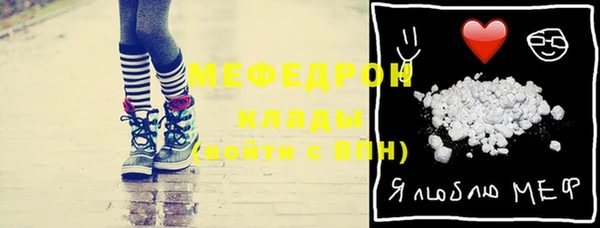 крисы Бородино