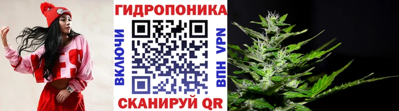 darknet как зайти  Камбарка  Канабис Amnesia  где продают  